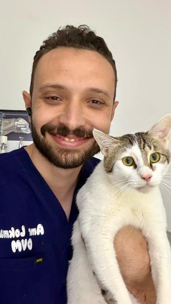 Dr. Amr Lokma