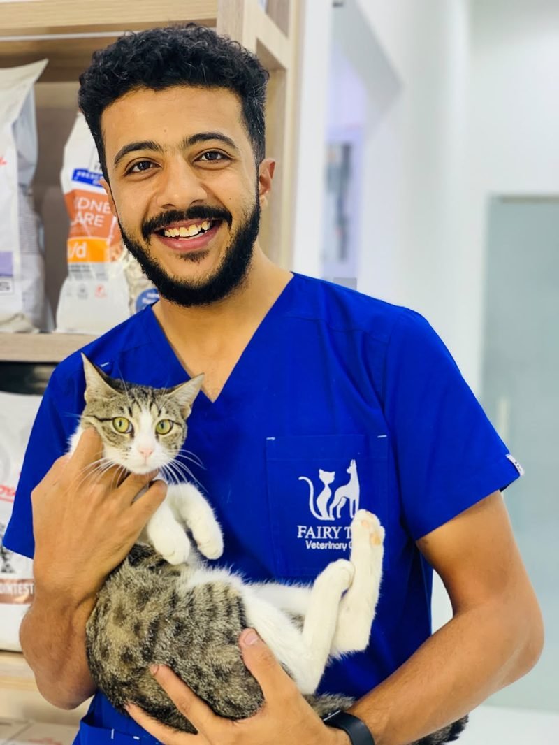 Dr. Taha El Gamal