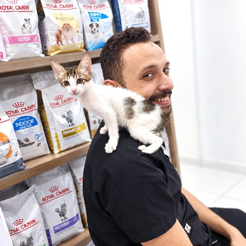 Staff member holding a kitten on their shoulder near the clinic shelves