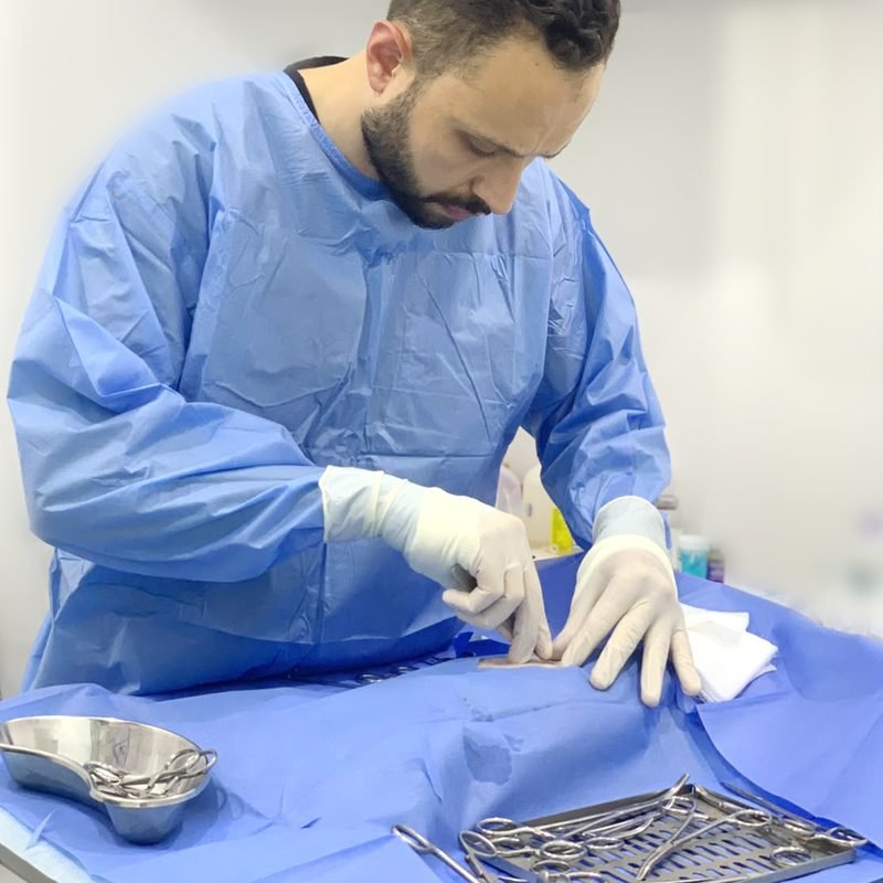 Vet in surgical gown preparing for a procedure